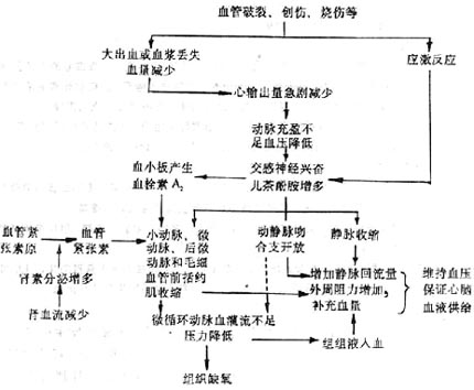 失血性休克