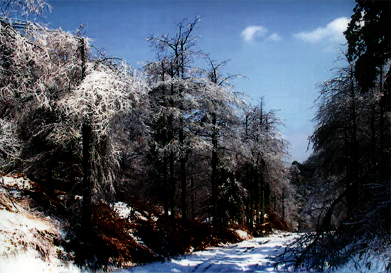 山磐雪路